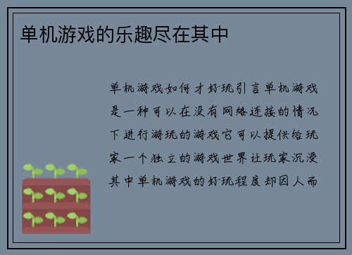 单机游戏的乐趣尽在其中